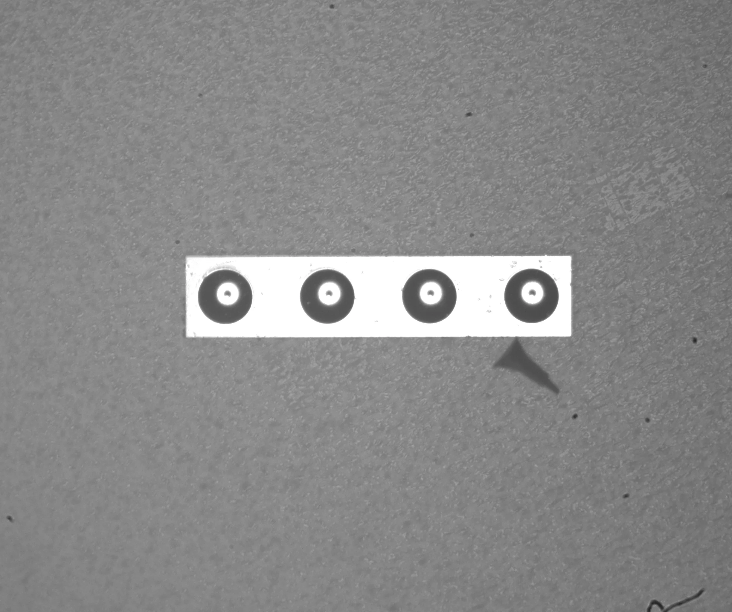 Coaxial image of the fiber-array end faces captured with the 10x bi-telecentric coaxial lens