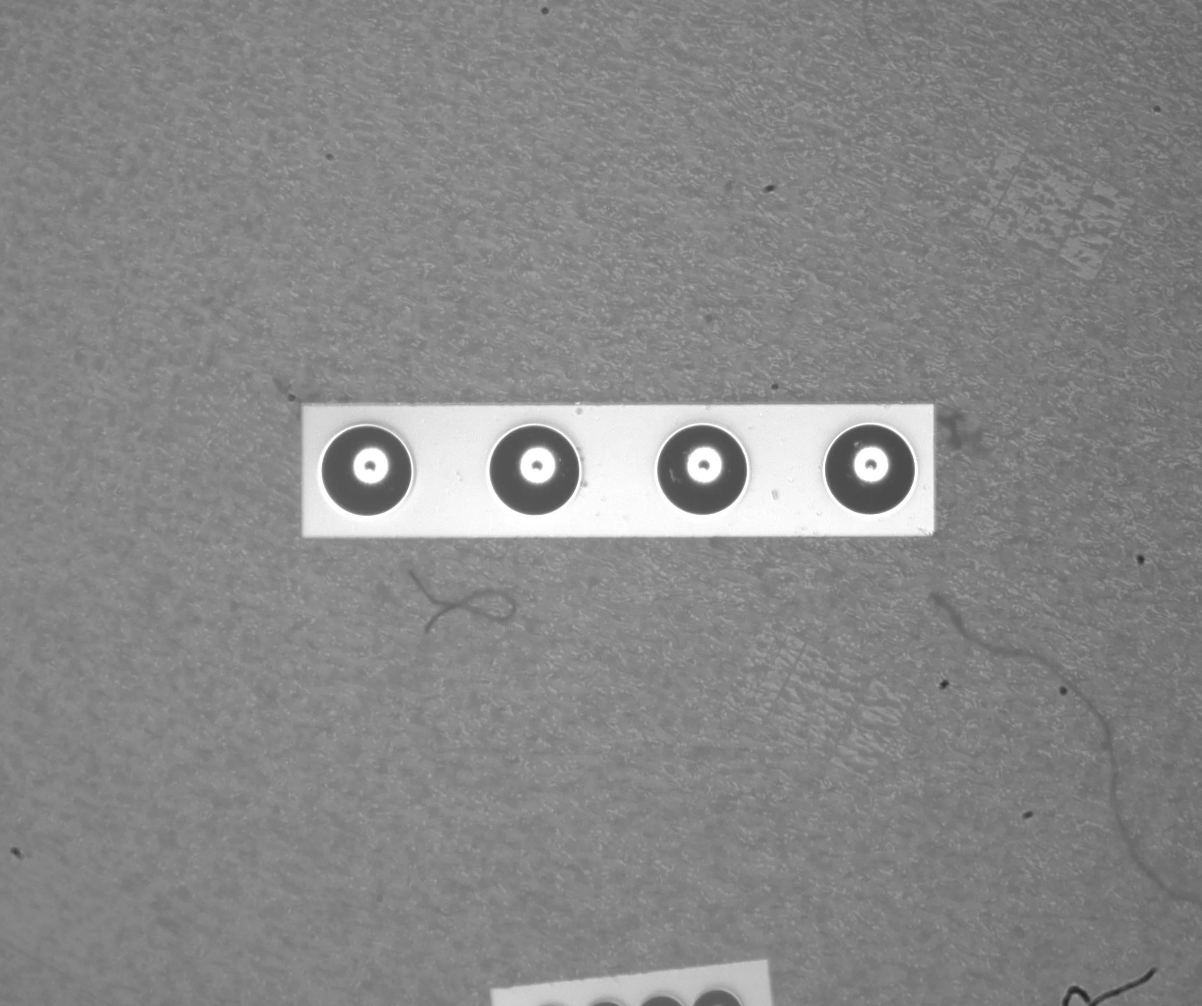 Fiber-array end faces with stronger internal dark features and edge contrast