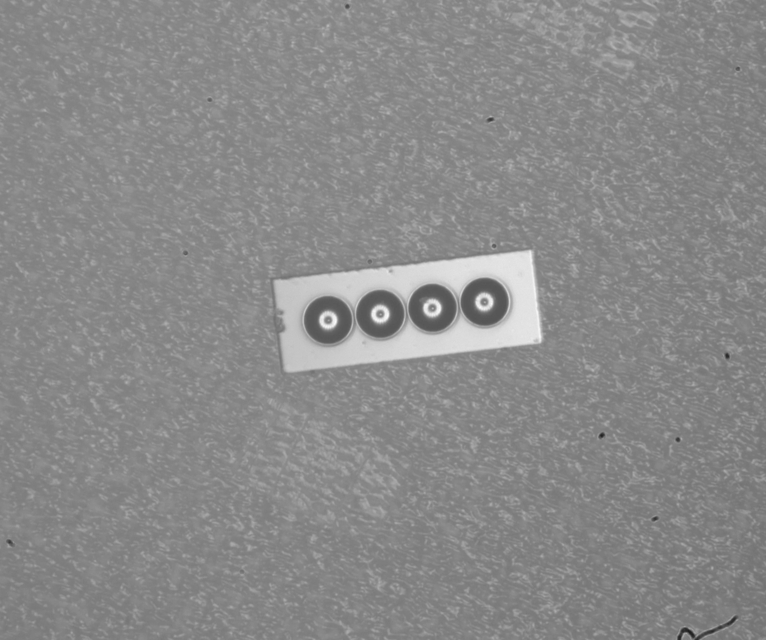 Fiber-array end faces with line texture visible across the circular surfaces