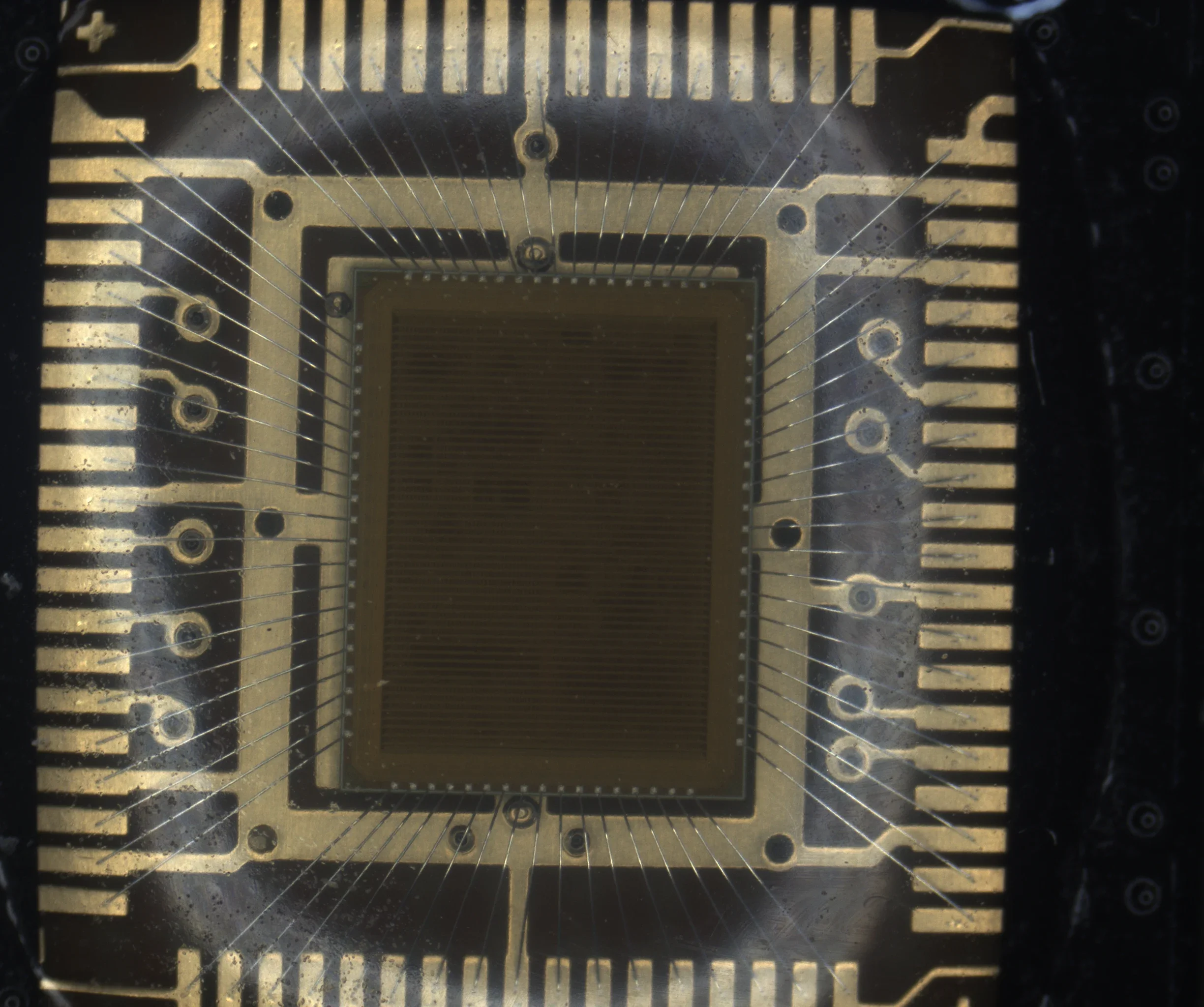 QFP package with leads imaged by a POMEAS motorized zoom lens under coaxial light