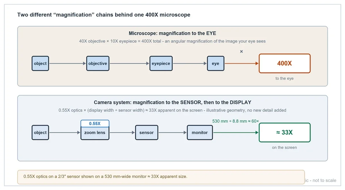 Microscope 400X vs Machine Vision Magnification: How Do You Convert It?