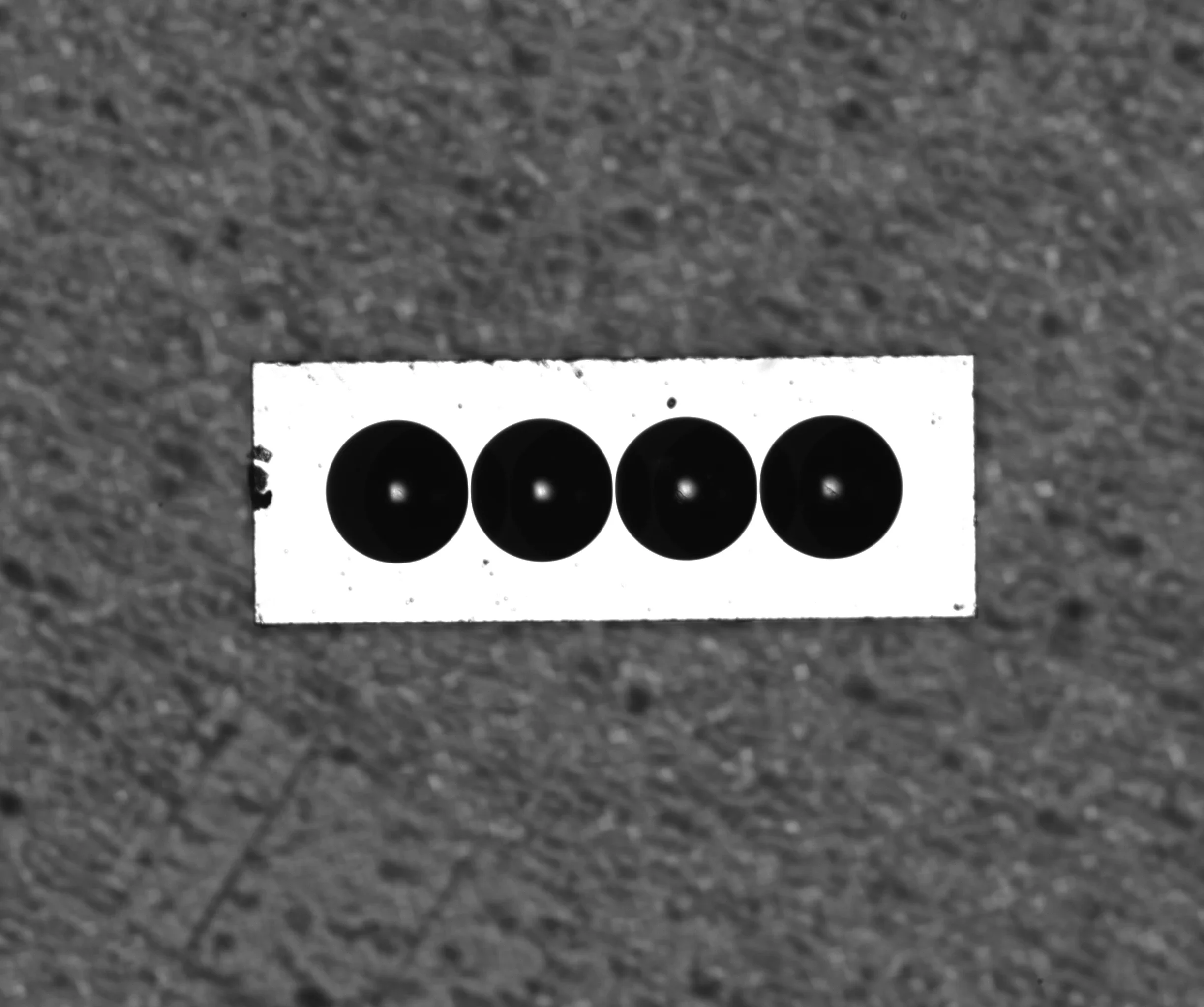 The same fiber-array end faces imaged at a higher zoom magnification with a smaller field of view