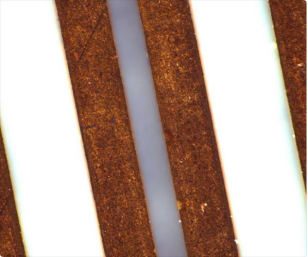 Image microscopique des gold fingers à deux niveaux